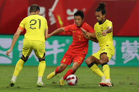 在帕利尼亚